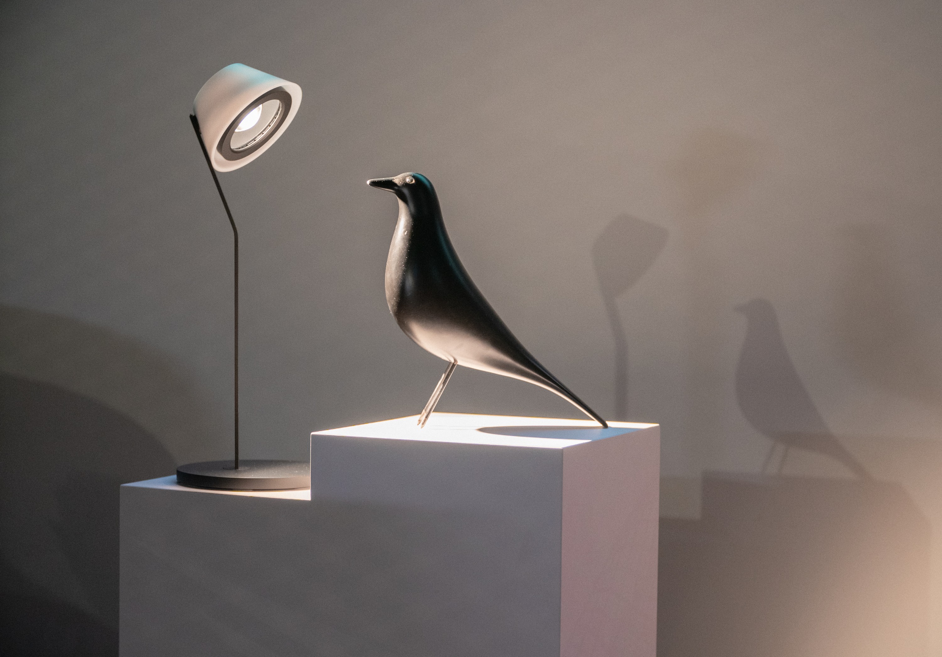 Among others exhibited: The Eames House Bird by Vitra.